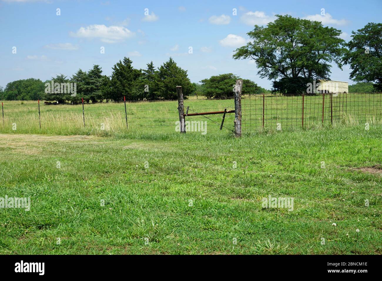 Un rustico di riga da un prarie nelle zone rurali del Kansas. In lontananza sono alberi e un vecchio cavallo abbandonato rimorchio. Foto Stock