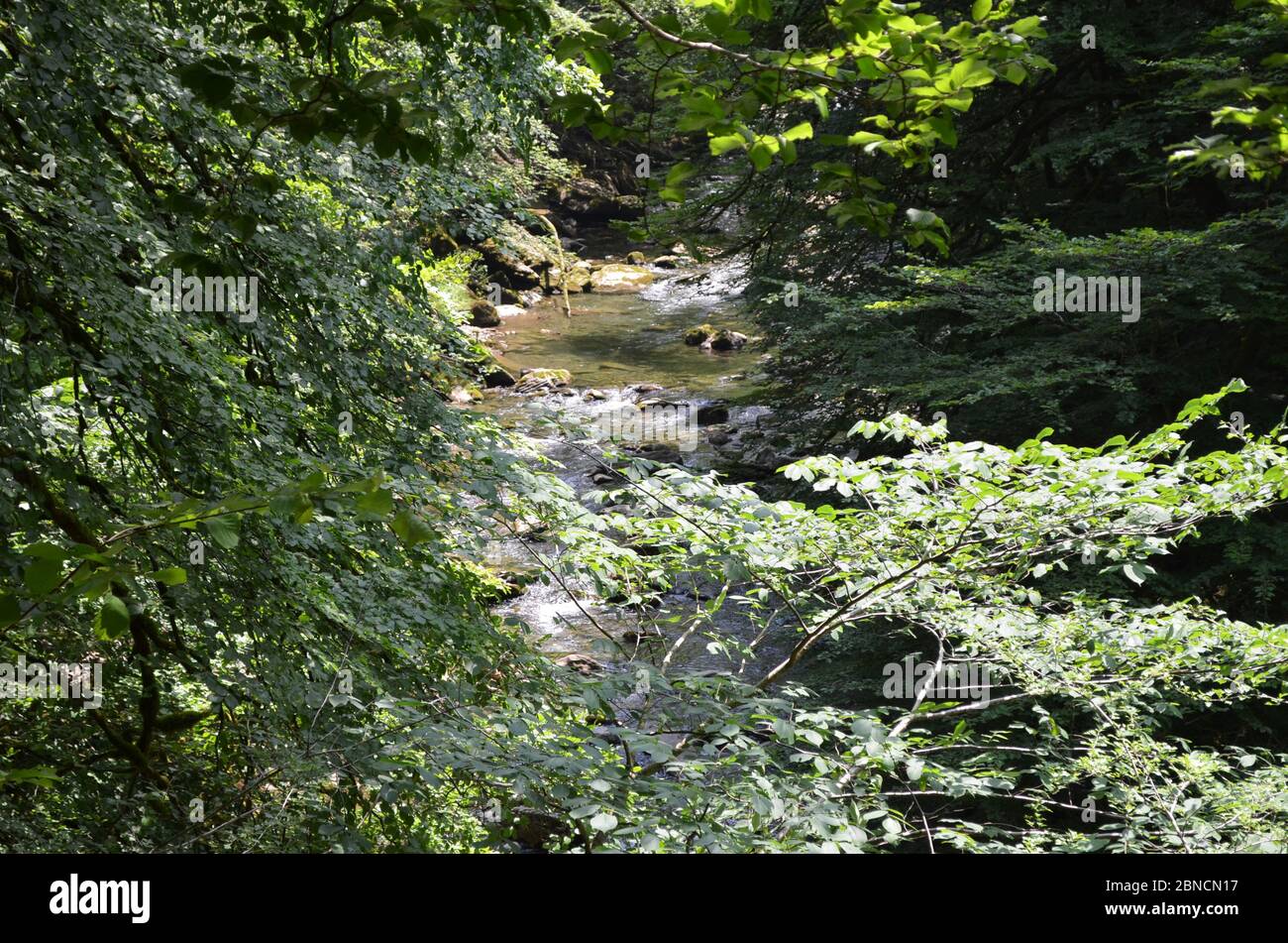 Olhadoko erreka, un fiume di montagna nelle gole di Holtzarte (Pirenei occidentali, Paesi Baschi francesi) Foto Stock