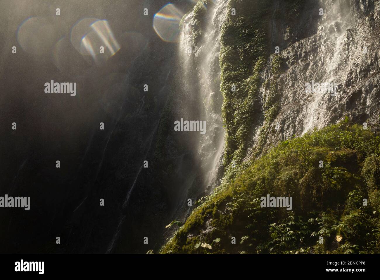 Vista sulle acque fresche, rumorose e intense della cascata di Tumpak Sewu, a Giava Est, Indonesia. Foto Stock