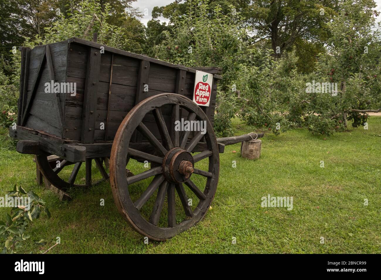 Un vecchio carro alla Red Apple Farm in Massachusetts Foto Stock