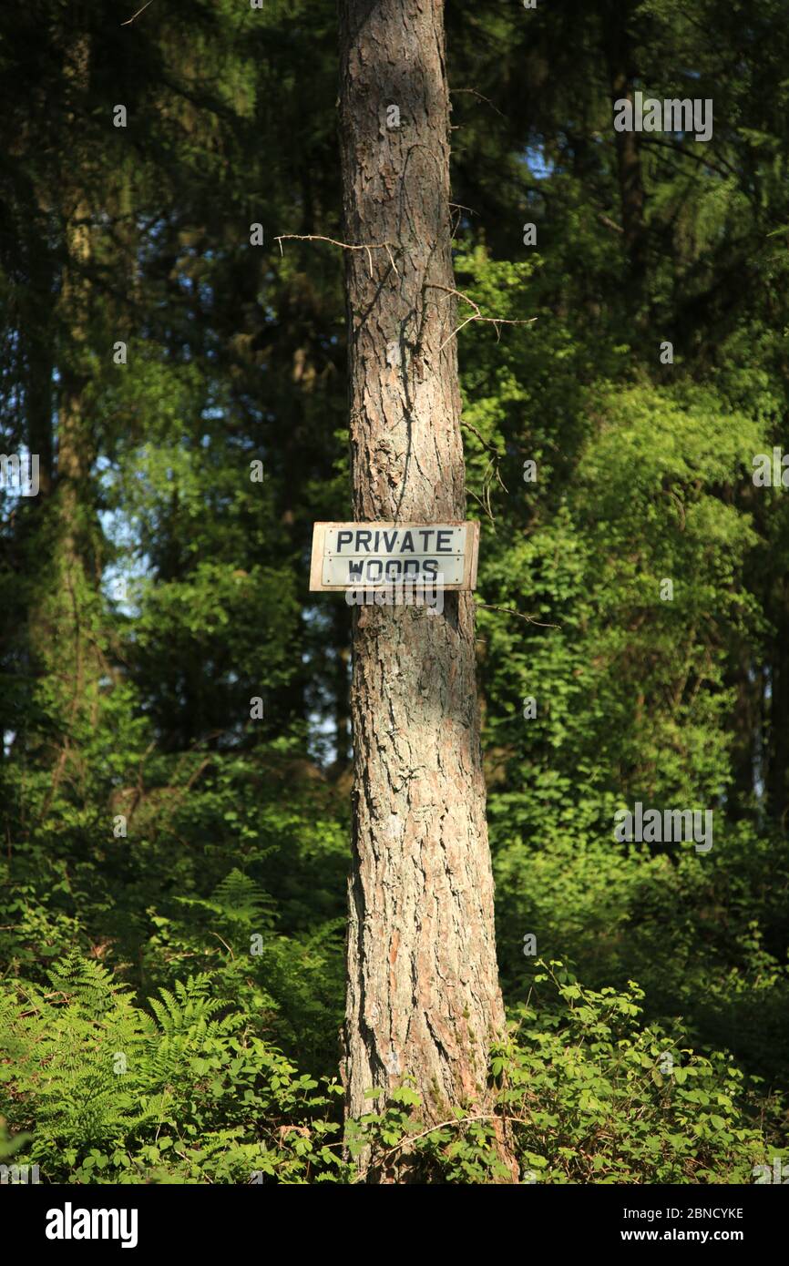 Cartello privato sui boschi montato su un albero. Foto Stock