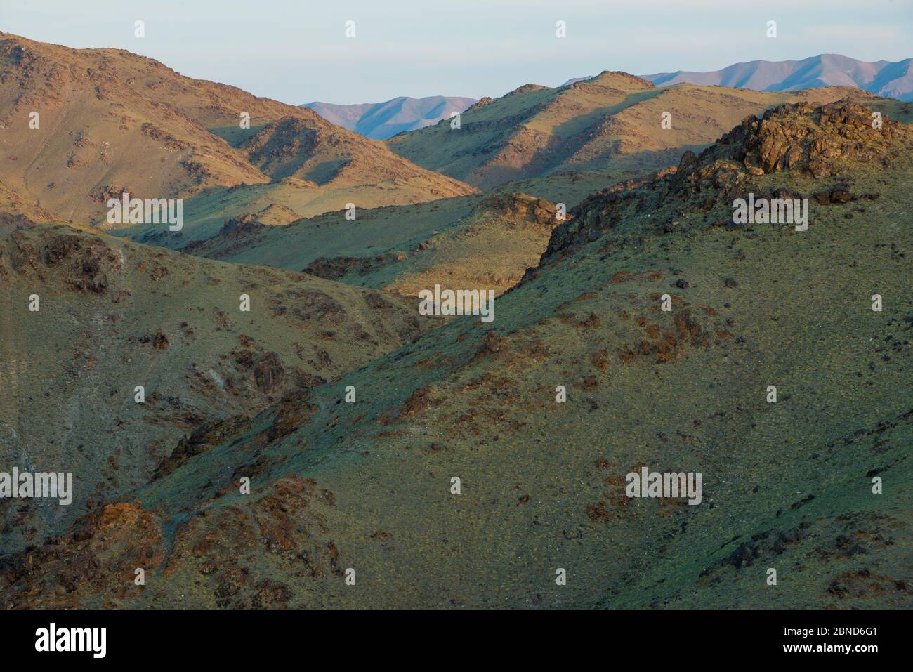 Petroglifi Khavtsgait montagna, deserto dei Gobi, Govi Gurvan Saikhan National Park, Sud Mongolia. Giugno 2015. Foto Stock