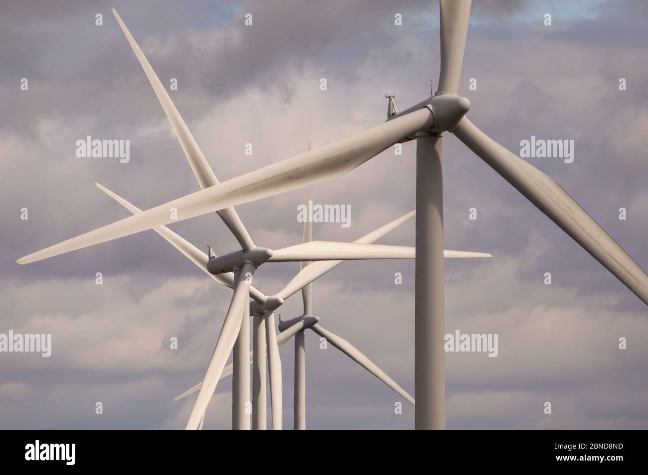 Whitelee Windfarm, Scozia, Regno Unito. 14 maggio 2020. Nella foto: Di proprietà di Scottish Power Renewables, Whitelee Wind Farm è la più grande azienda eolica a terra del Regno Unito con 215 turbine che generano una produzione totale di 539 megawatt di elettricità, sufficiente per alimentare appena meno di 300,000 abitazioni. Mentre il governo britannico e scozzese stanno pianificando una strategia di uscita per il blocco del coronavirus (COVID-19), la domanda di un maggiore utilizzo di energia deve essere equilibrata con le considerazioni e le responsabilità dei piani sul cambiamento climatico. Credit: Colin Fisher/Alamy Live News Foto Stock