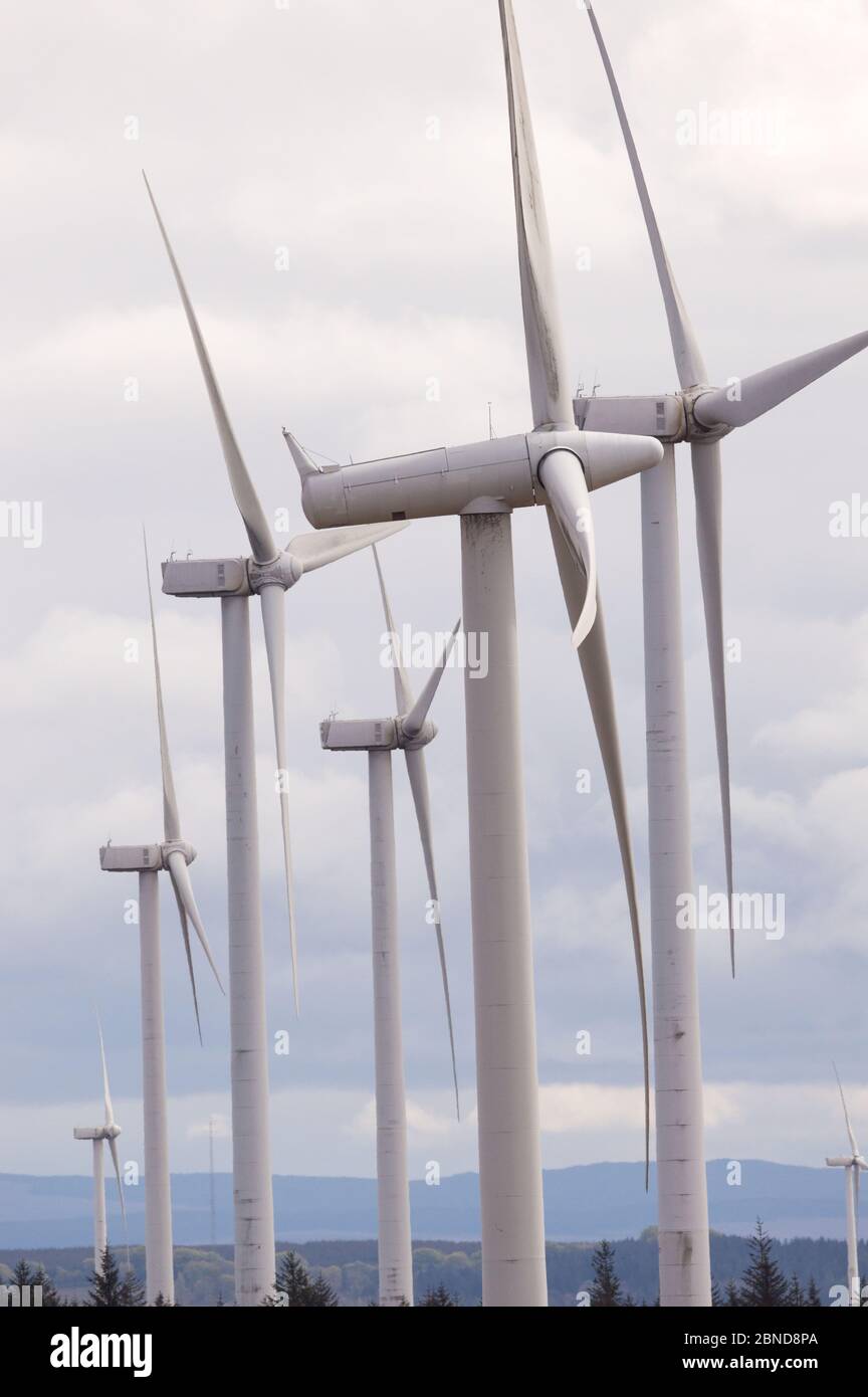 Whitelee Windfarm, Scozia, Regno Unito. 14 maggio 2020. Nella foto: Di proprietà di Scottish Power Renewables, Whitelee Wind Farm è la più grande azienda eolica a terra del Regno Unito con 215 turbine che generano una produzione totale di 539 megawatt di elettricità, sufficiente per alimentare appena meno di 300,000 abitazioni. Mentre il governo britannico e scozzese stanno pianificando una strategia di uscita per il blocco del coronavirus (COVID-19), la domanda di un maggiore utilizzo di energia deve essere equilibrata con le considerazioni e le responsabilità dei piani sul cambiamento climatico. Credit: Colin Fisher/Alamy Live News Foto Stock