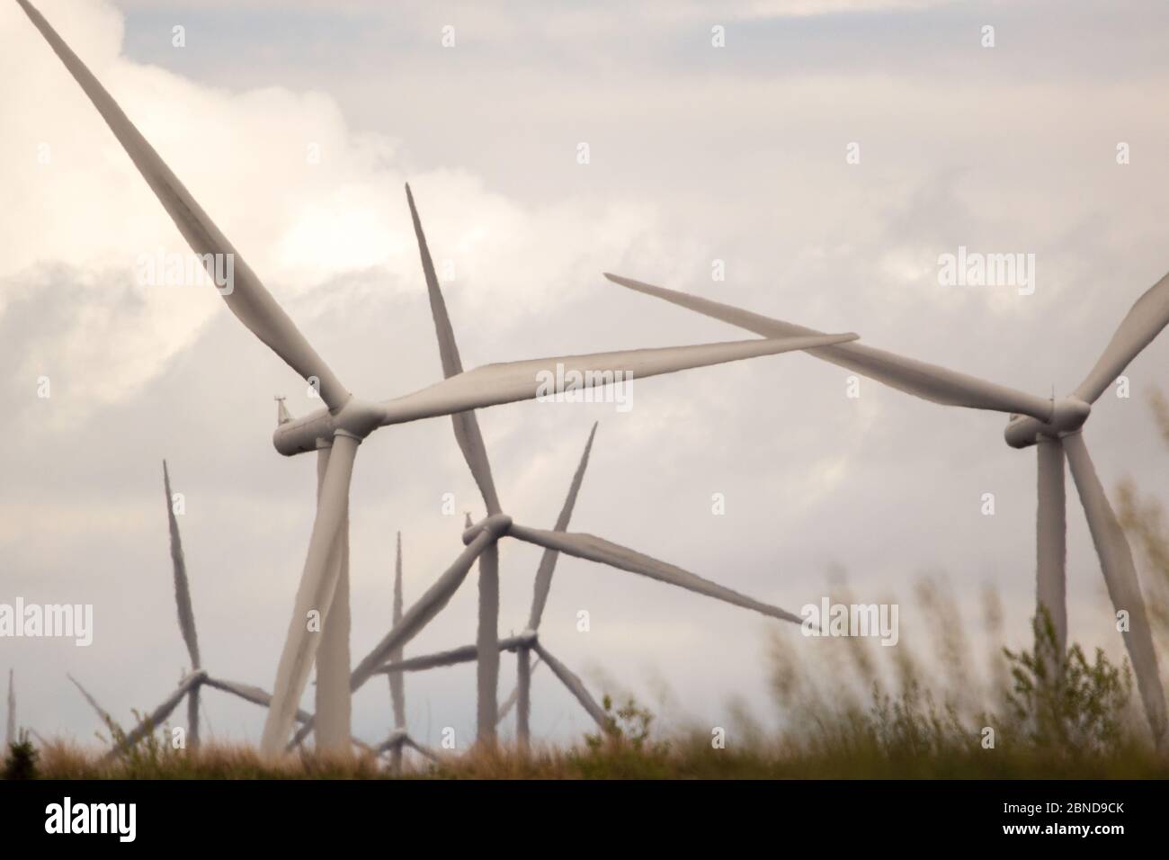 Whitelee Windfarm, Scozia, Regno Unito. 14 maggio 2020. Nella foto: Di proprietà di Scottish Power Renewables, Whitelee Wind Farm è la più grande azienda eolica a terra del Regno Unito con 215 turbine che generano una produzione totale di 539 megawatt di elettricità, sufficiente per alimentare appena meno di 300,000 abitazioni. Mentre il governo britannico e scozzese stanno pianificando una strategia di uscita per il blocco del coronavirus (COVID-19), la domanda di un maggiore utilizzo di energia deve essere equilibrata con le considerazioni e le responsabilità dei piani sul cambiamento climatico. Credit: Colin Fisher/Alamy Live News Foto Stock