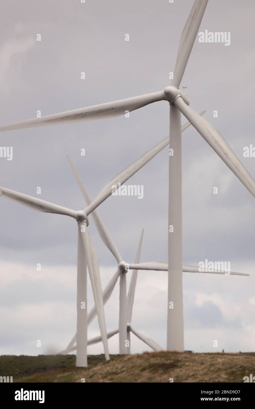 Whitelee Windfarm, Scozia, Regno Unito. 14 maggio 2020. Nella foto: Di proprietà di Scottish Power Renewables, Whitelee Wind Farm è la più grande azienda eolica a terra del Regno Unito con 215 turbine che generano una produzione totale di 539 megawatt di elettricità, sufficiente per alimentare appena meno di 300,000 abitazioni. Mentre il governo britannico e scozzese stanno pianificando una strategia di uscita per il blocco del coronavirus (COVID-19), la domanda di un maggiore utilizzo di energia deve essere equilibrata con le considerazioni e le responsabilità dei piani sul cambiamento climatico. Credit: Colin Fisher/Alamy Live News Foto Stock