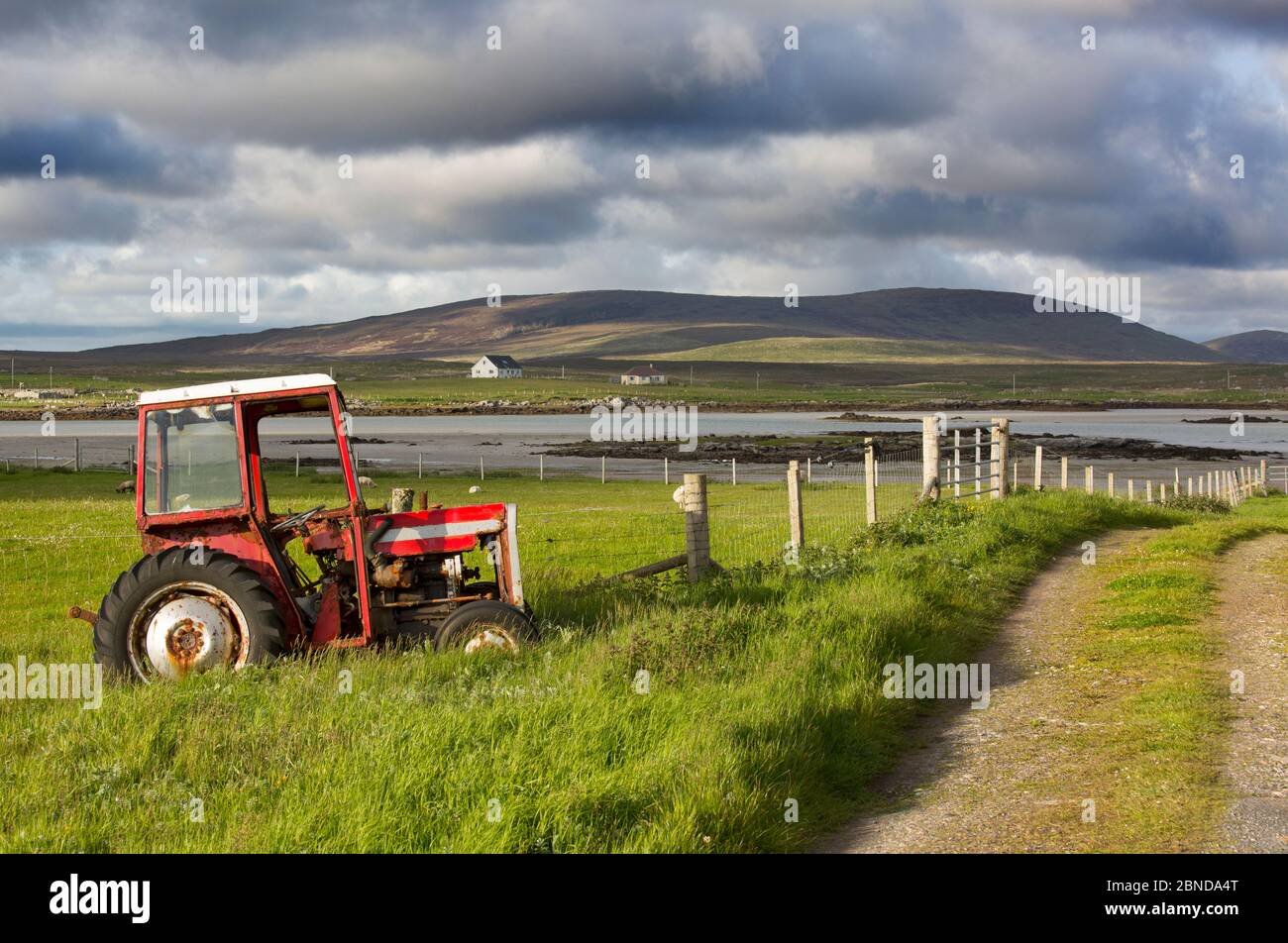 Il vecchio trattore Massey Ferguson su croft, Baile Mor, North Uist, Ebridi, Scozia, Giugno. Foto Stock