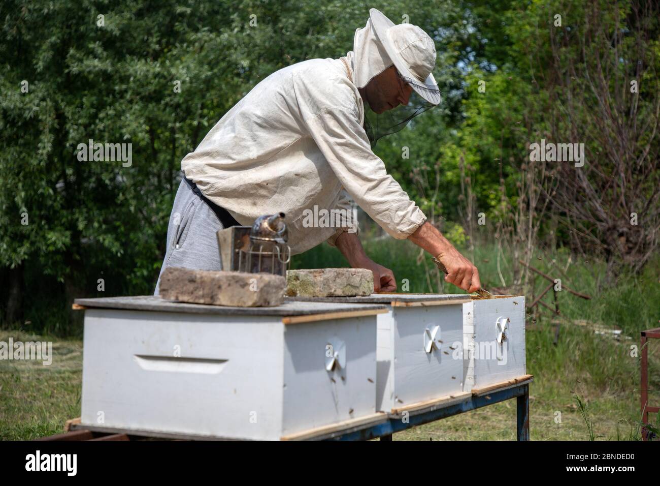 Belgrado, Serbia, 10 maggio 2020: Apicoltore che lavora su un alveare Foto Stock