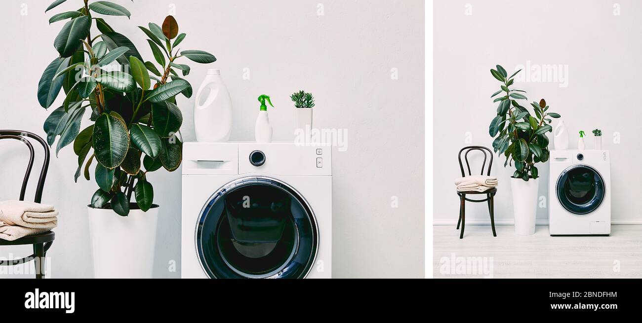 collage di piante verdi vicino a bottiglie di detersivo su lavatrici vicino a sedie con asciugamani Foto Stock