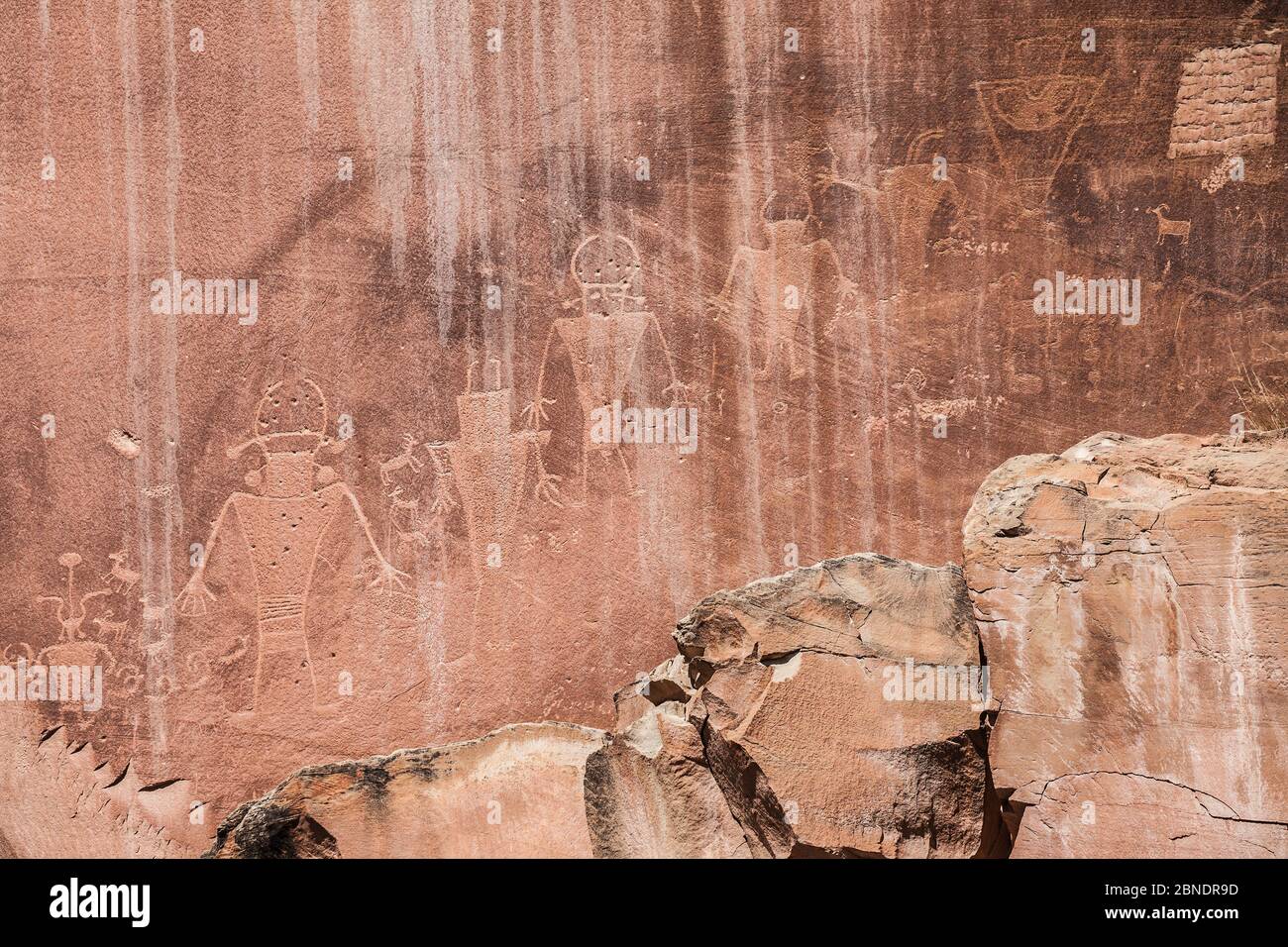 Capitol Reef Petroglyph, Capitol Reef National Park, Utah, Stati Uniti. Foto Stock