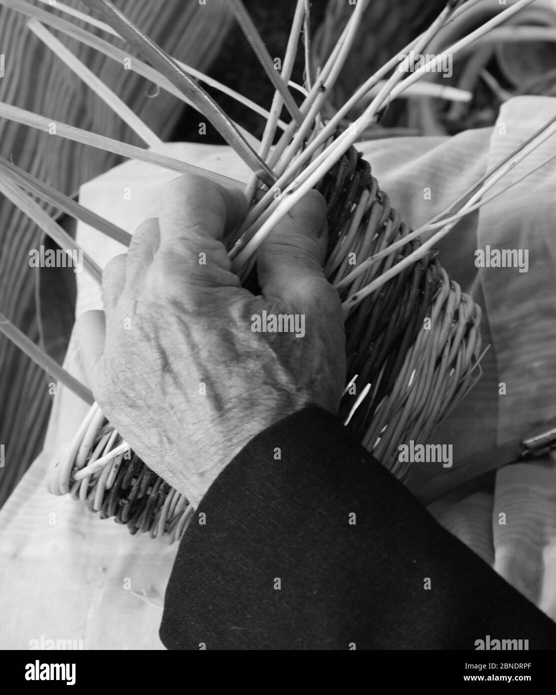 mano grande di un esperto artigiano senior mentre si crea un cesto di vimini con effetto bianco e nero Foto Stock