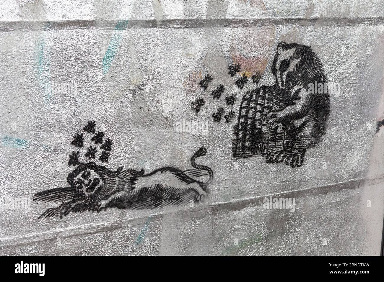 Graffiti a Wroclaw, Polonia: 'Dal forte è uscito dolcezza' Foto Stock