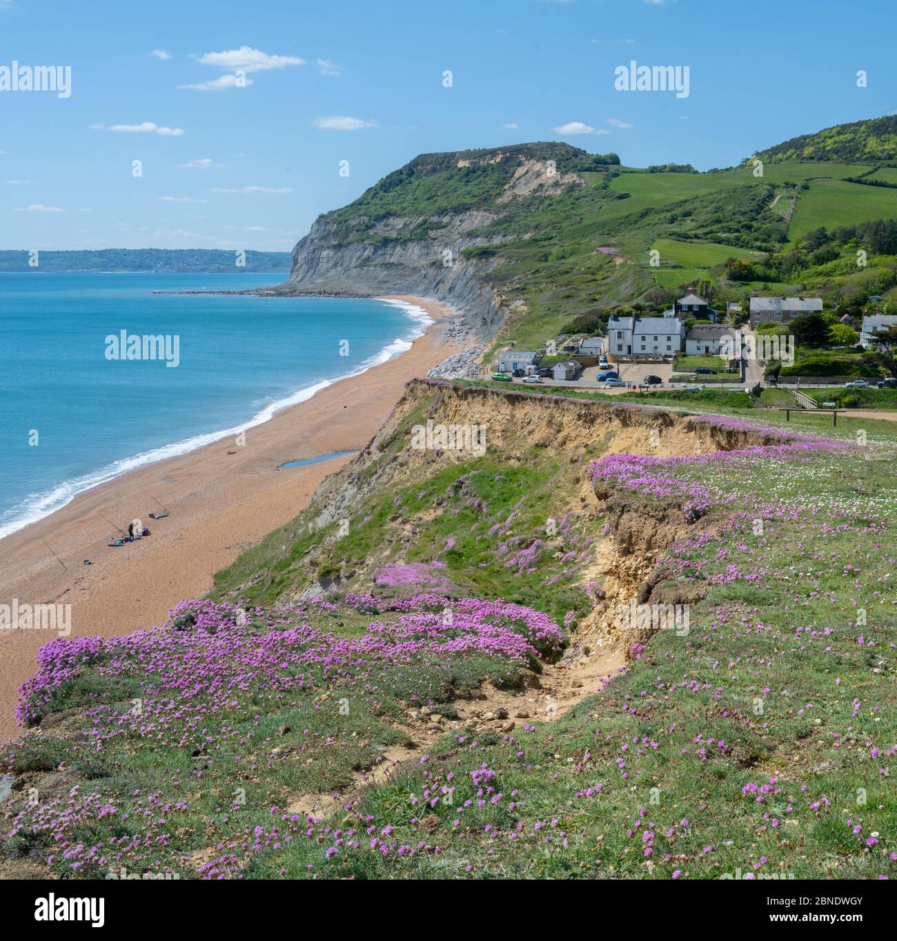 Seatown, West Dorset, Regno Unito. 14 maggio 2020. UK Weather: Il mare fiorisce sulla Costa Jurassic vicino a Golden Cap e il grazioso borgo di Seatown in un pomeriggio luminoso, soleggiato, ma piuttosto freddo. L'allentamento da parte del governo delle restrizioni del coronavirus ha permesso una maggiore libertà di viaggiare per l'esercizio fisico, Ma alcune aree situate in tutta la contea rimangono inaccessibili ai locali, poiché i parcheggi e i servizi igienici pubblici gestiti dal Dorset Council rimangono chiusi in luoghi popolari nel tentativo di scoraggiare un afflusso di visitatori da fuori della regione. Credit: Celia McMahon/Alamy Live News. Foto Stock