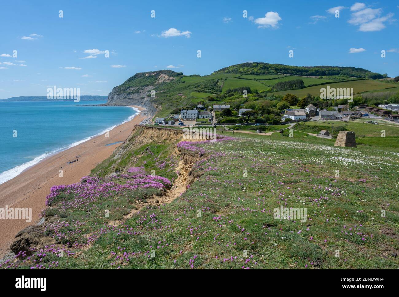 Seatown, West Dorset, Regno Unito. 14 maggio 2020. UK Weather: Il mare fiorisce sulla Costa Jurassic vicino a Golden Cap e il grazioso borgo di Seatown in un pomeriggio luminoso, soleggiato, ma piuttosto freddo. L'allentamento da parte del governo delle restrizioni del coronavirus ha permesso una maggiore libertà di viaggiare per l'esercizio fisico, Ma alcune aree situate in tutta la contea rimangono inaccessibili ai locali, poiché i parcheggi e i servizi igienici pubblici gestiti dal Dorset Council rimangono chiusi in luoghi popolari nel tentativo di scoraggiare un afflusso di visitatori da fuori della regione. Credit: Celia McMahon/Alamy Live News. Foto Stock
