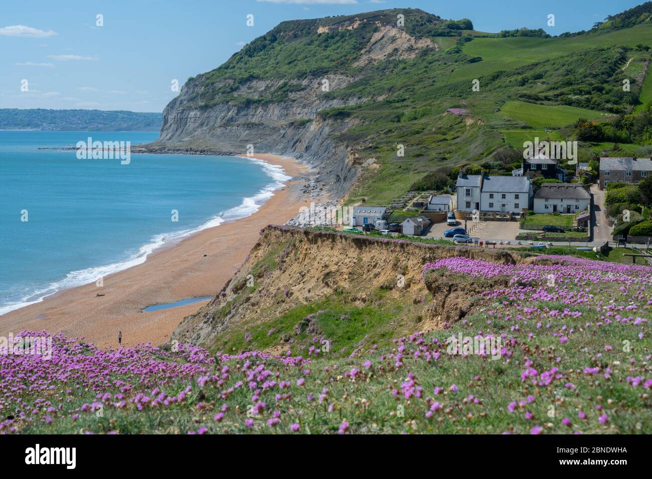 Seatown, West Dorset, Regno Unito. 14 maggio 2020. UK Weather: Il mare fiorisce sulla Costa Jurassic vicino a Golden Cap e il grazioso borgo di Seatown in un pomeriggio luminoso, soleggiato, ma piuttosto freddo. L'allentamento da parte del governo delle restrizioni del coronavirus ha permesso una maggiore libertà di viaggiare per l'esercizio fisico, Ma alcune aree situate in tutta la contea rimangono inaccessibili ai locali, poiché i parcheggi e i servizi igienici pubblici gestiti dal Dorset Council rimangono chiusi in luoghi popolari nel tentativo di scoraggiare un afflusso di visitatori da fuori della regione. Credit: Celia McMahon/Alamy Live News. Foto Stock