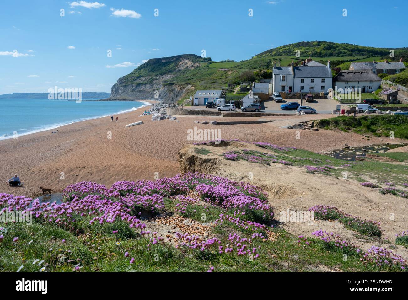 Seatown, West Dorset, Regno Unito. 14 maggio 2020. UK Weather: Il mare fiorisce sulla Costa Jurassic vicino a Golden Cap e il grazioso borgo di Seatown in un pomeriggio luminoso, soleggiato, ma piuttosto freddo. L'allentamento da parte del governo delle restrizioni del coronavirus ha permesso una maggiore libertà di viaggiare per l'esercizio fisico, Ma alcune aree situate in tutta la contea rimangono inaccessibili ai locali, poiché i parcheggi e i servizi igienici pubblici gestiti dal Dorset Council rimangono chiusi in luoghi popolari nel tentativo di scoraggiare un afflusso di visitatori da fuori della regione. Credit: Celia McMahon/Alamy Live News. Foto Stock