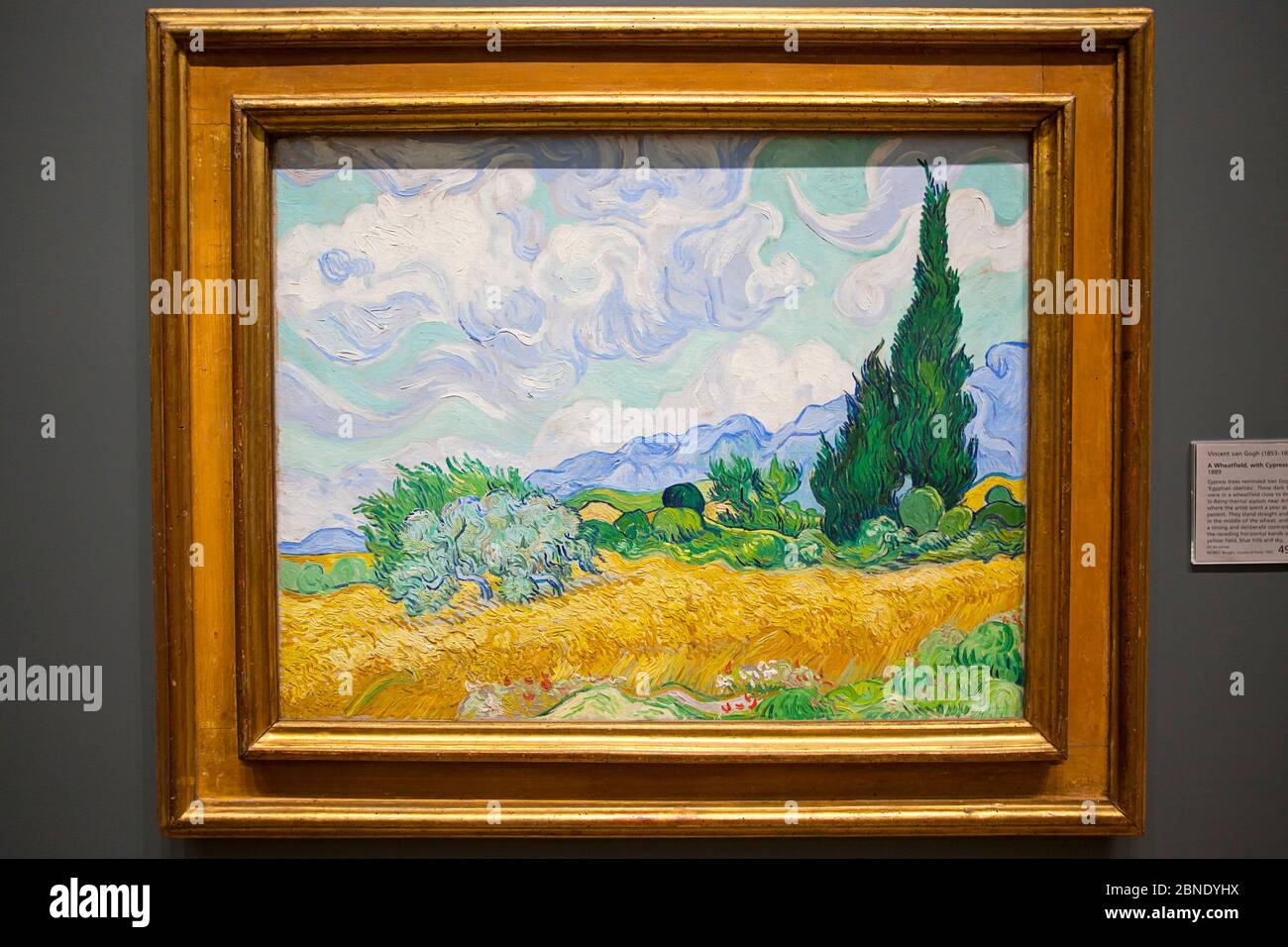 Un Wheatfield, con cipressi di Vincent van Gogh Foto Stock