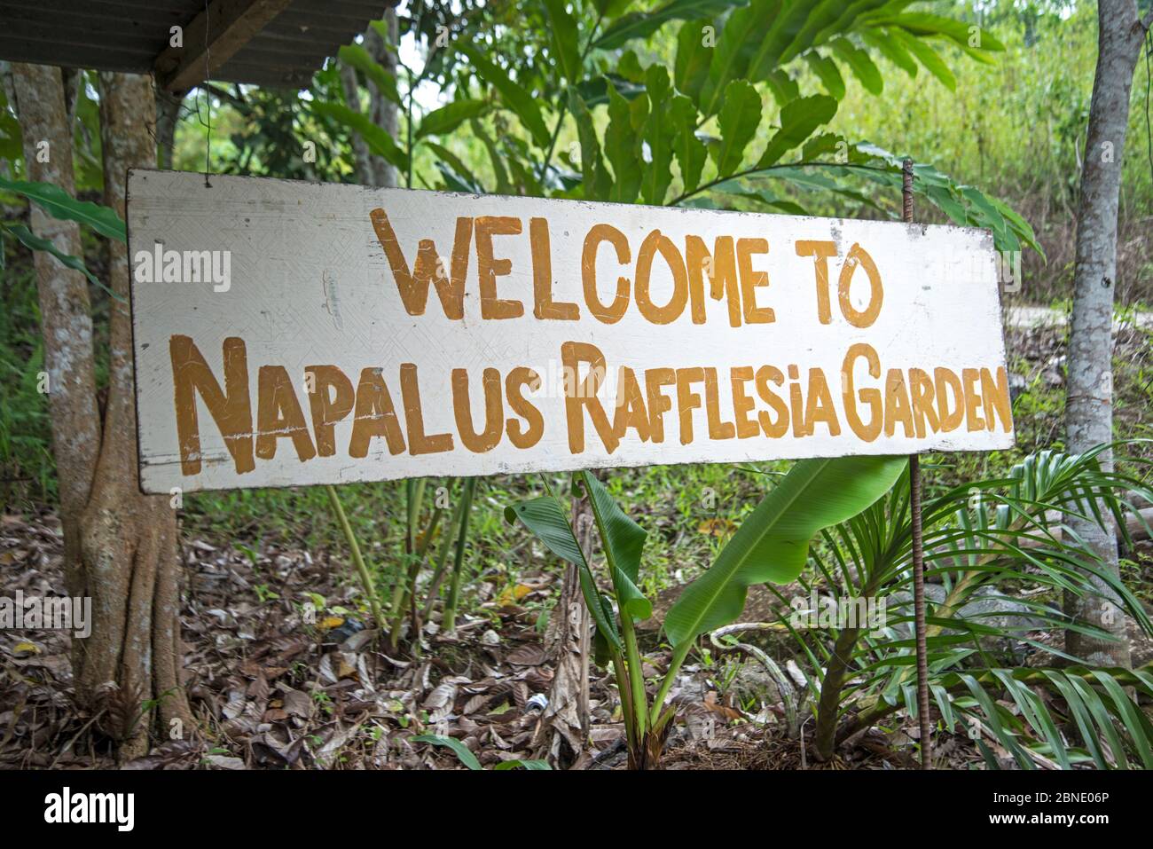 Cartello per Rafflesia 'Garden', Sabah, Borneo. Settembre 2015. Foto Stock