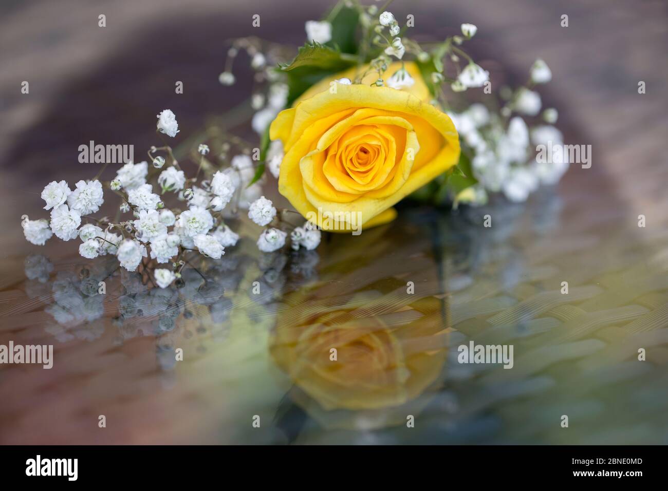 Bouquet di rose inglesi Foto Stock