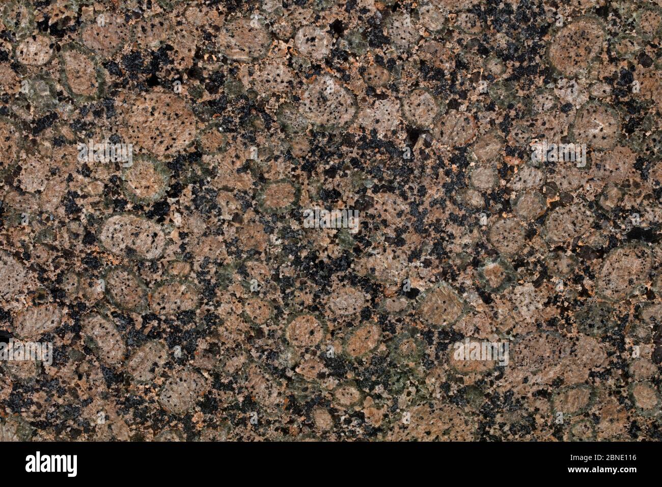 Granito Rapakivi, un granito hornblende biotite contenente grandi cristalli arrotondati di ortoclasi ricoperte di oligoclasi, Finlandia. Foto Stock