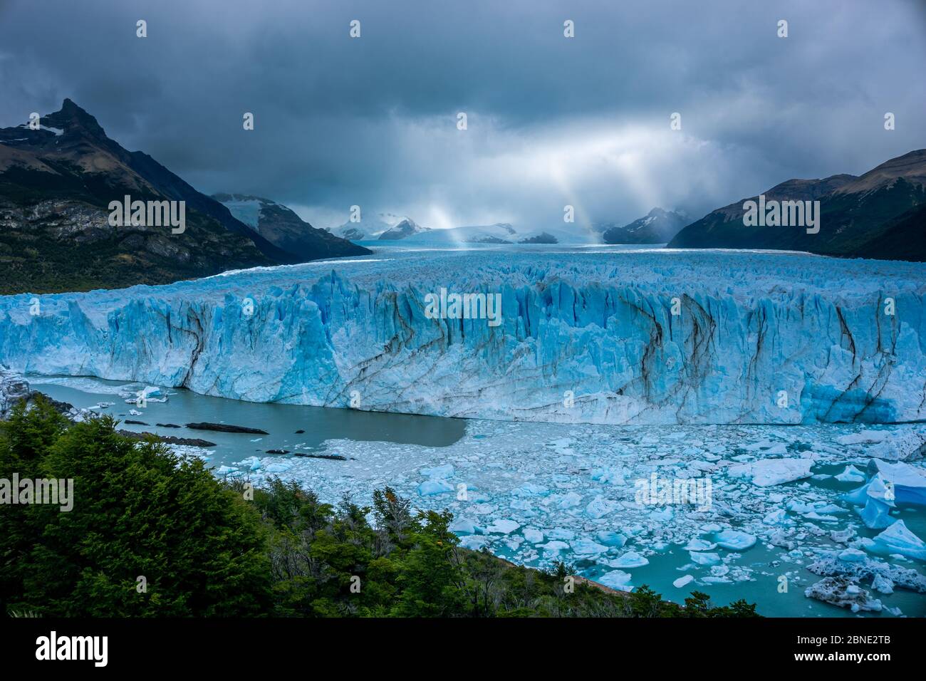 Parete di ghiaccio di un ghiacciaio con alcuni pezzi di ghiaccio in acqua di fronte a una foresta. Ghiacciaio Perito Moreno in Argentina Foto Stock