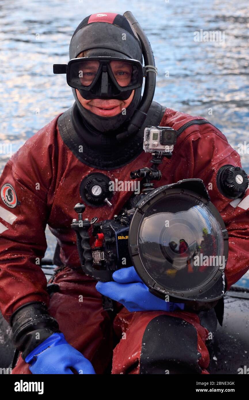 Fotografo subacqueo, Magnus Lundgren, con la sua fotocamera, pronto a nuotare con le balene, Senja, Troms County, Norvegia, Scandinavia, gennaio 2015. Foto Stock