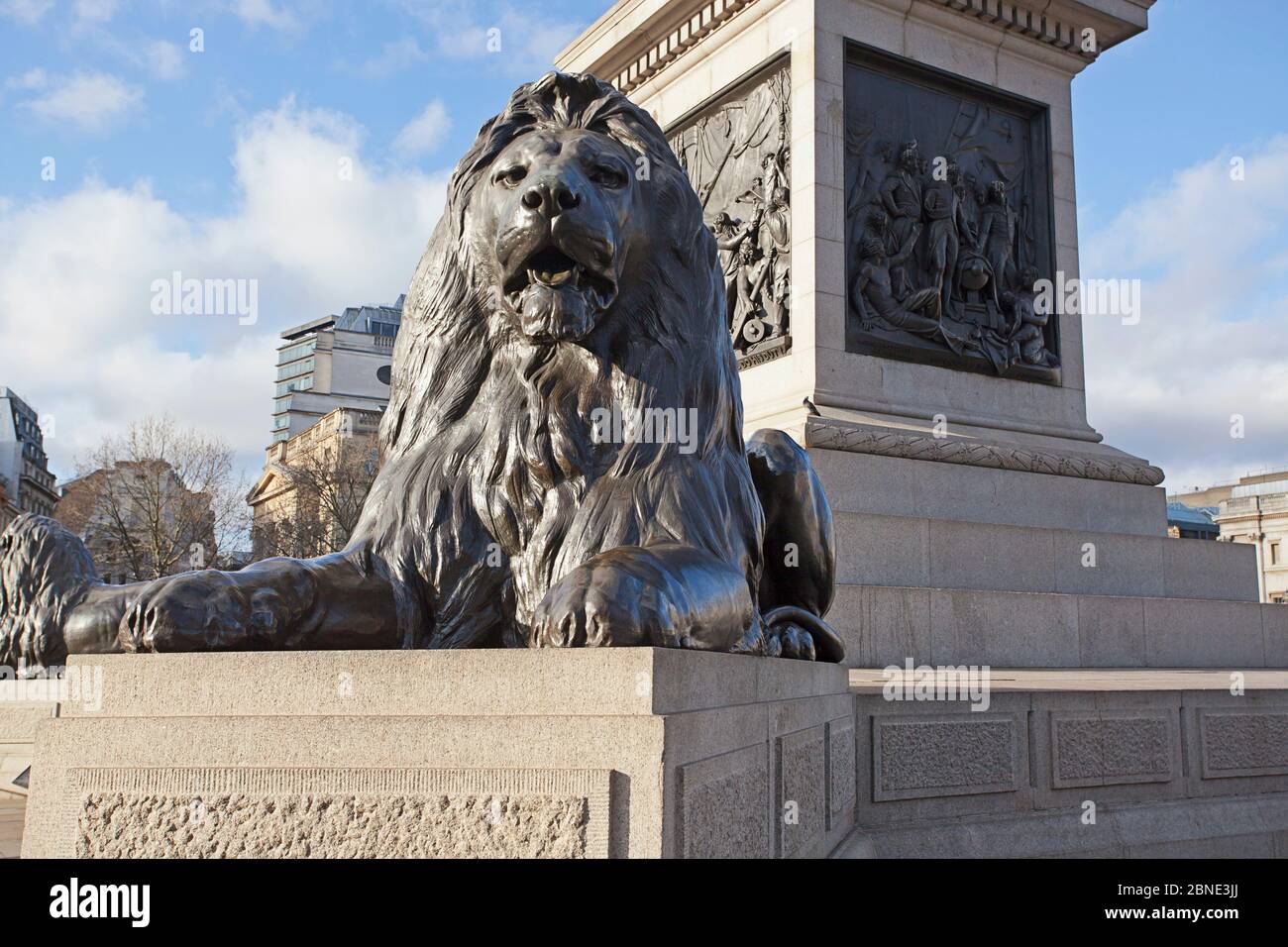 Monumentale statua del leone di bronzo, Trafalgar Square, Londra Foto Stock