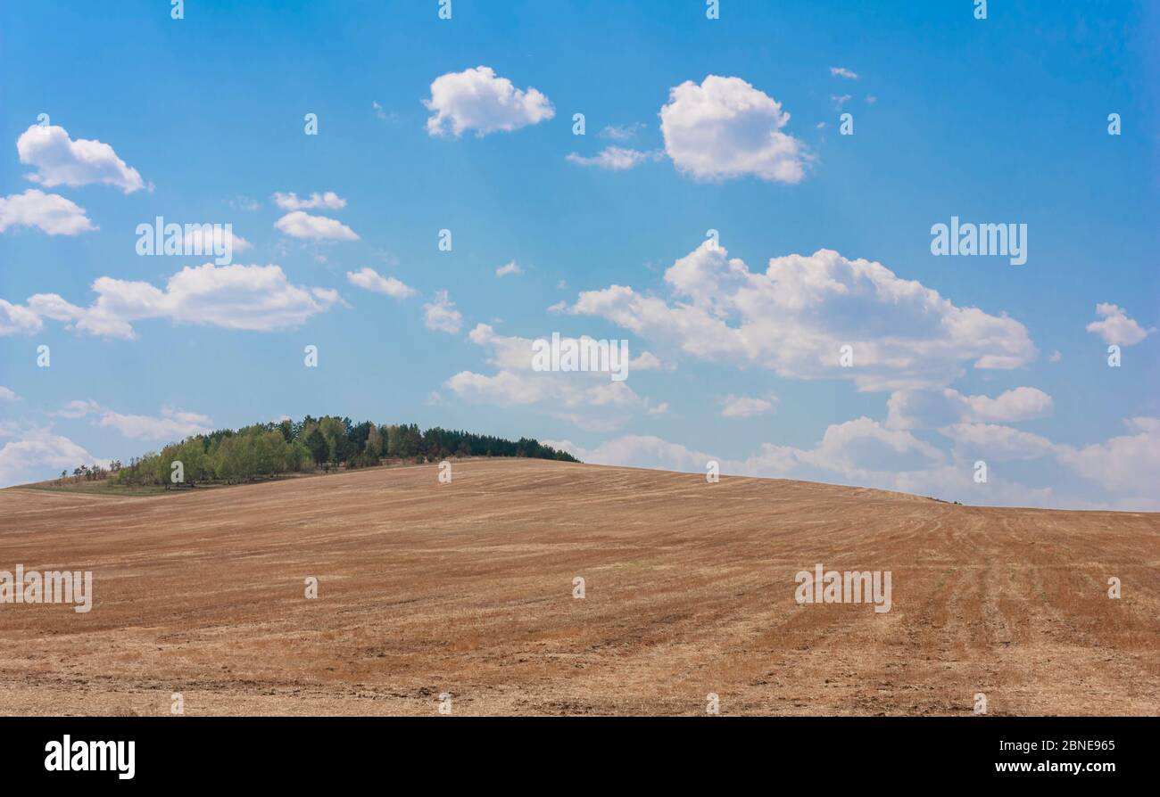 Rolling Farm Hills di campi di grano raccolto il giorno Sunny Estate. Foto Stock