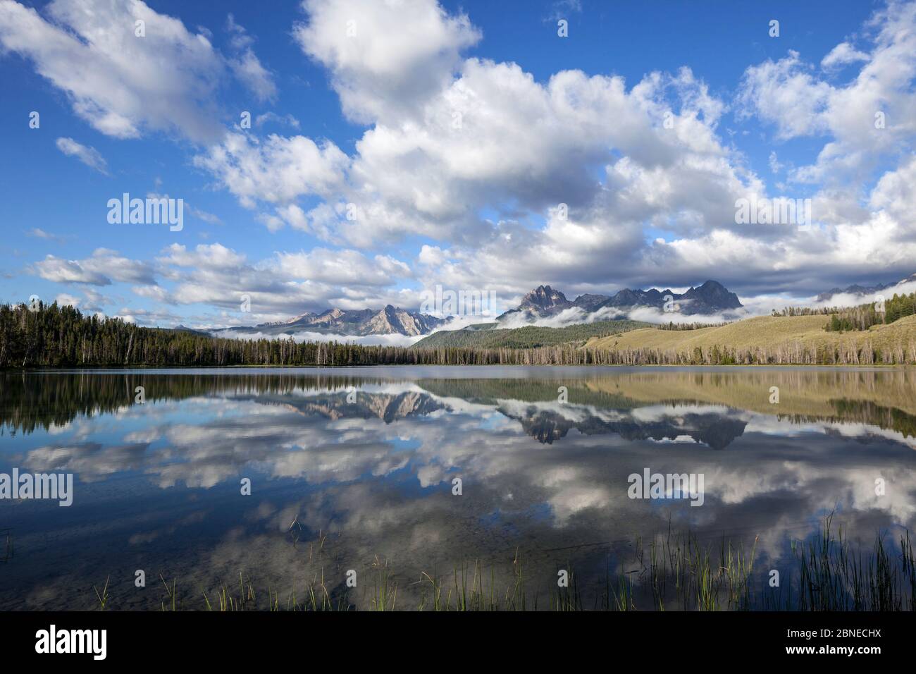 Alba a Little Red Fish Lake con Sawtooth Range in Distance, Idaho, USA. Luglio 2015. Foto Stock