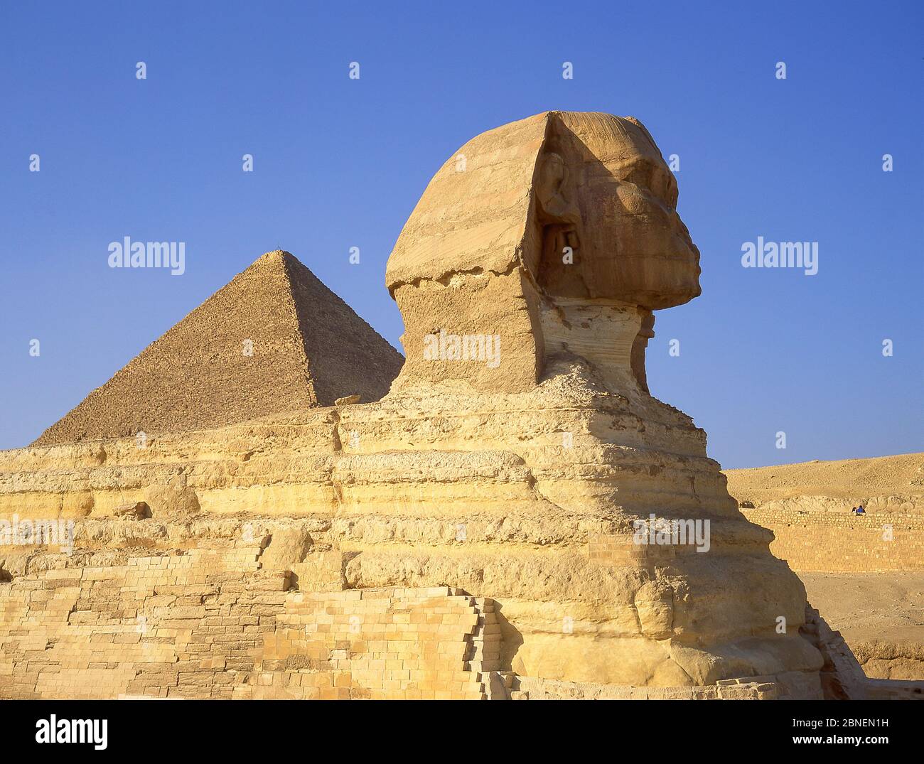 La Grande Sfinge di Giza, Giza, Governato di Giza, Repubblica d'Egitto Foto Stock