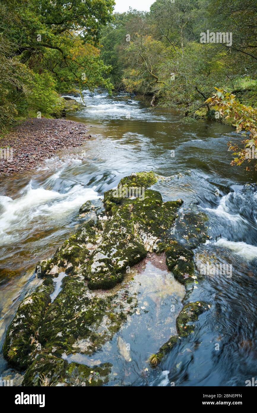 Colore autunnale e fiume nel tipico paesaggio gallese del Brecon Beacons in Galles, Regno Unito Foto Stock