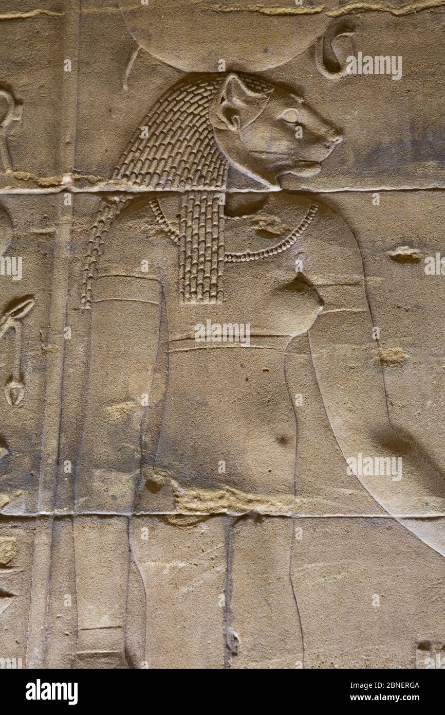 Rilievo della dea Sekhmet, Santuario, Tempio di Iside, Patrimonio dell'Umanità dell'UNESCO, Isola di Philae, Assuan, Egitto Foto Stock