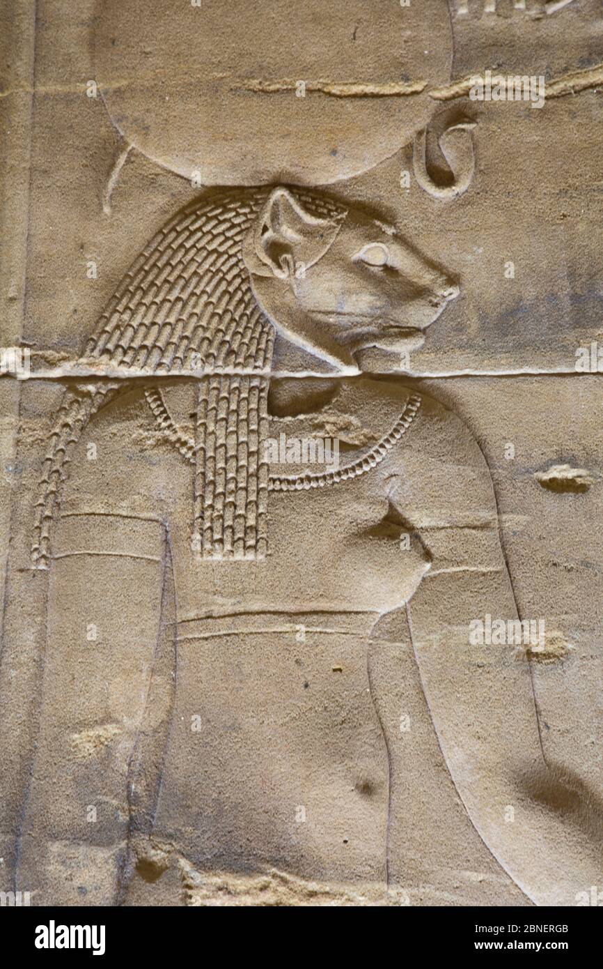 Rilievo della dea Sekhmet, Santuario, Tempio di Iside, Patrimonio dell'Umanità dell'UNESCO, Isola di Philae, Assuan, Egitto Foto Stock