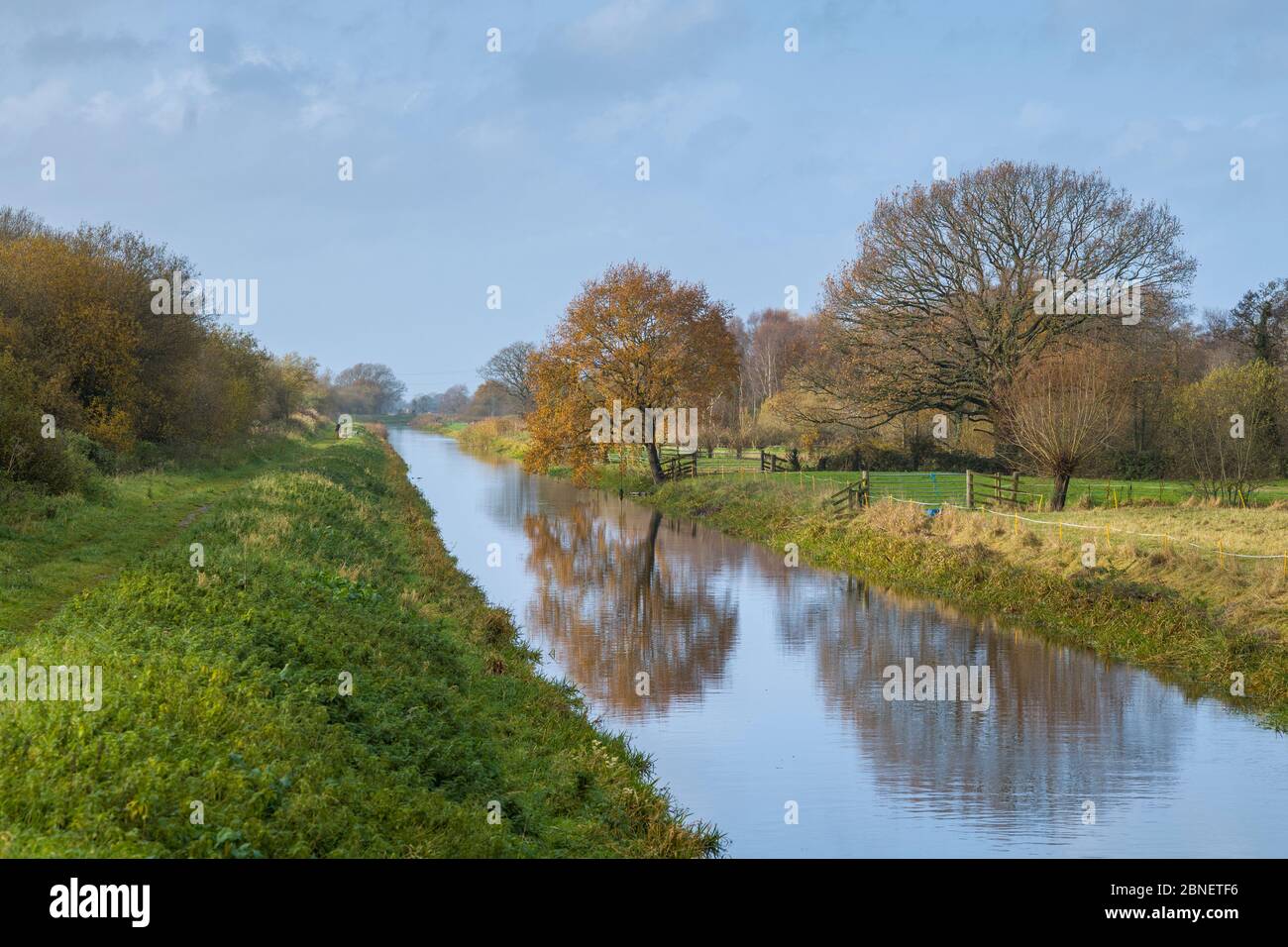 Scena tranquilla lungo il canale d'acqua alle paludi Avalon nei livelli Somerset, Regno Unito Foto Stock