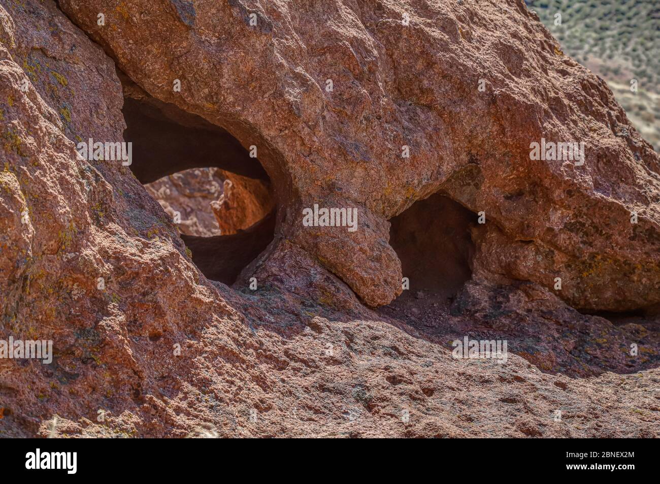 VIRGINIA MOUNTAINS, NEVADA, STATI UNITI - Apr 22, 2020: La Monkey Condos, una formazione rocciosa inquietante di molte piccole grotte nella roccia rossa del deserto, è una Foto Stock