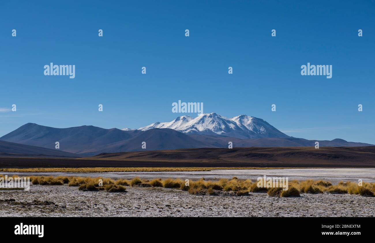 Montagna innevata nella regione di Antofagasta in Cile Foto Stock