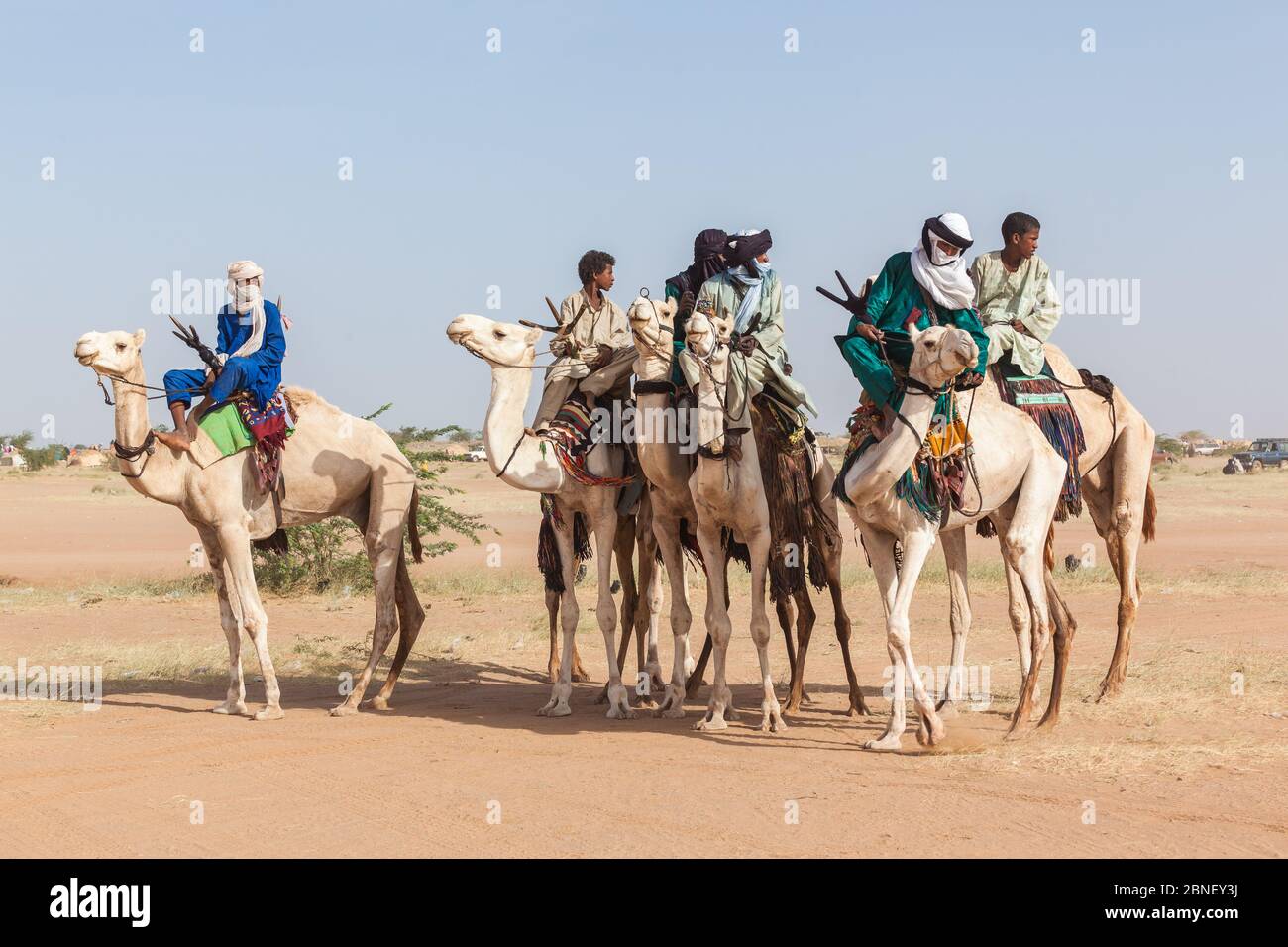 Ingall, Nige Cure sale festivalr: tuareg persone in abiti tradizionali seduti su cammelli nel deserto Foto Stock