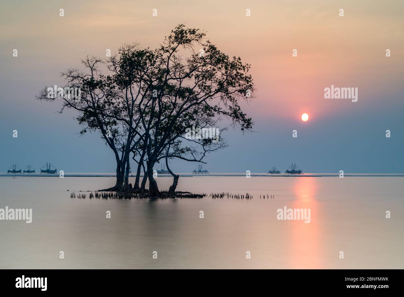 --file--Vista degli alberi in acqua a Jimbaran Beach nella provincia di Lampung, Indonesia, Settembre 2017. Foto Stock