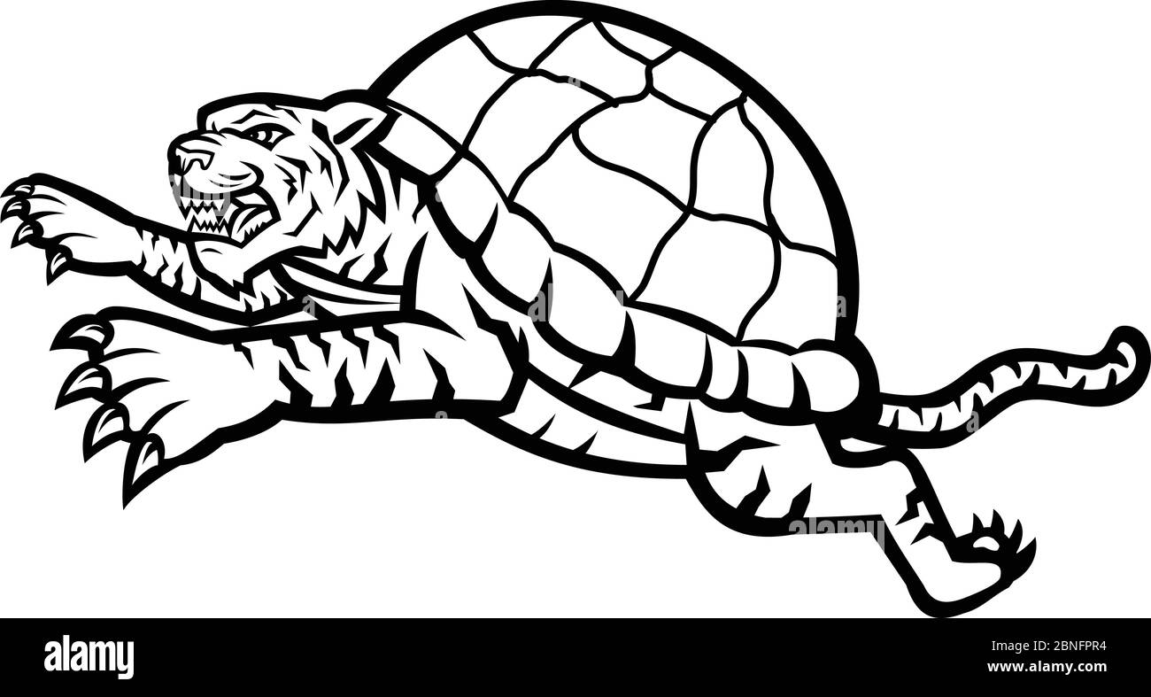 Icona di mascotte illustrazione della testa di una tartaruga di Tiger, una tigre che è la metà di tartaruga con guscio saltando saltando visto dal lato su isolati in background Illustrazione Vettoriale Icona di mascotte illustrazione della testa di una tartaruga di Tiger, una tigre che è la metà di tartaruga con guscio saltando saltando visto dal lato su isolati in background Illustrazione Vettoriale