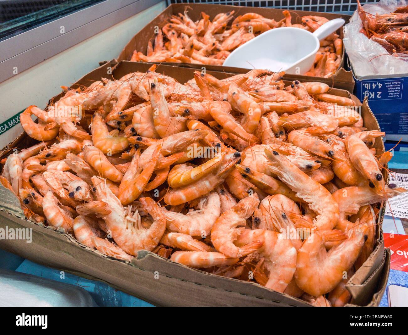 Primo piano di gamberi surgelati in una vetrina refrigerata del supermercato. Pesce fresco non cucinato. Gamberetti rosa nel congelatore del mercato dei pescatori negozio Foto Stock
