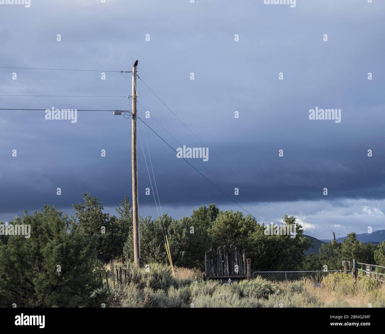 Taos, New Mexico - un uccello solista, corvo arroccato sulla cima del palo Foto Stock