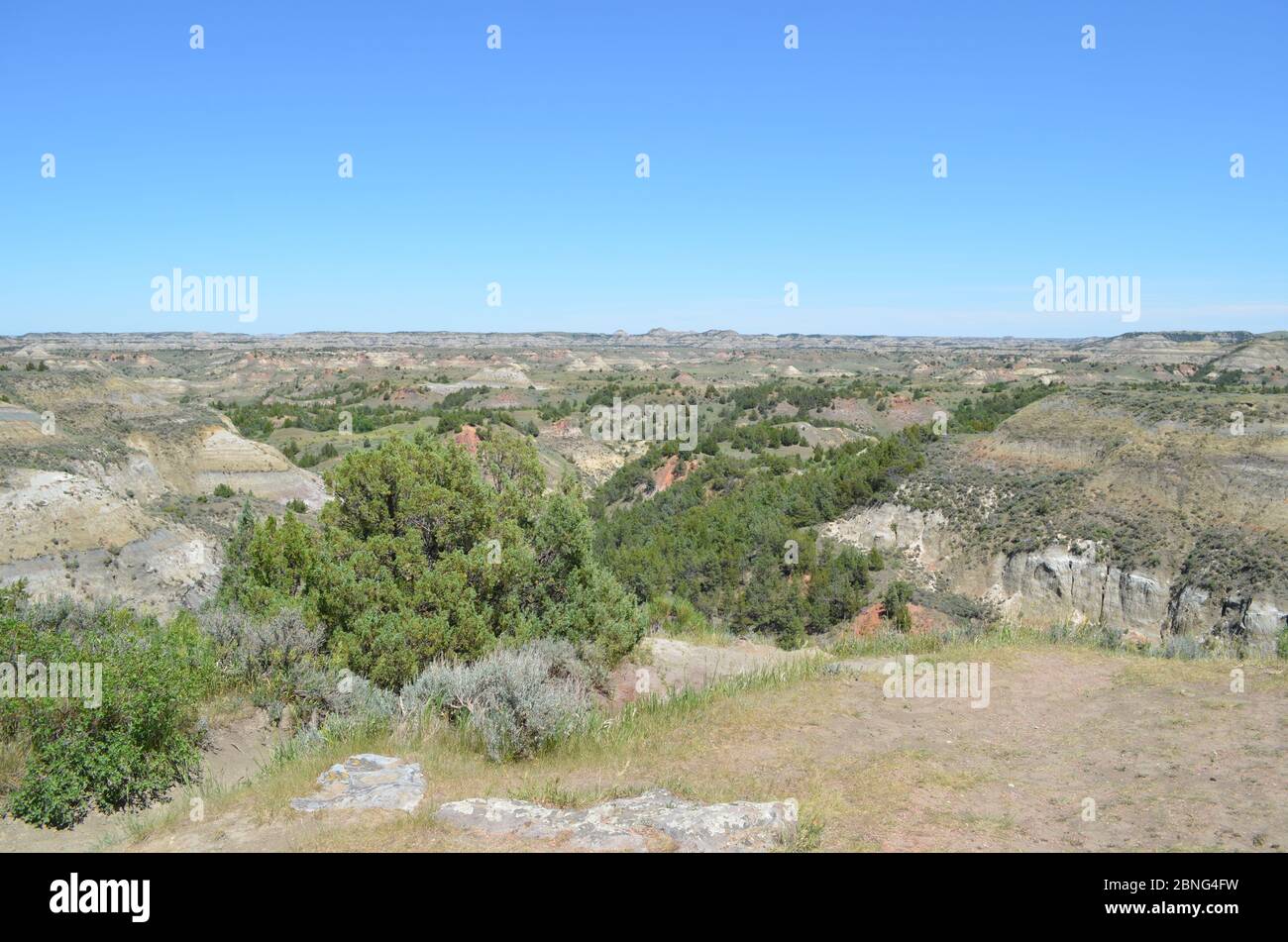 Tarda primavera nel North Dakota: Vista nord da Badlands si affacciano lungo Scenic Loop Drive nell'unità meridionale del Parco Nazionale Theodore Roosevelt Foto Stock