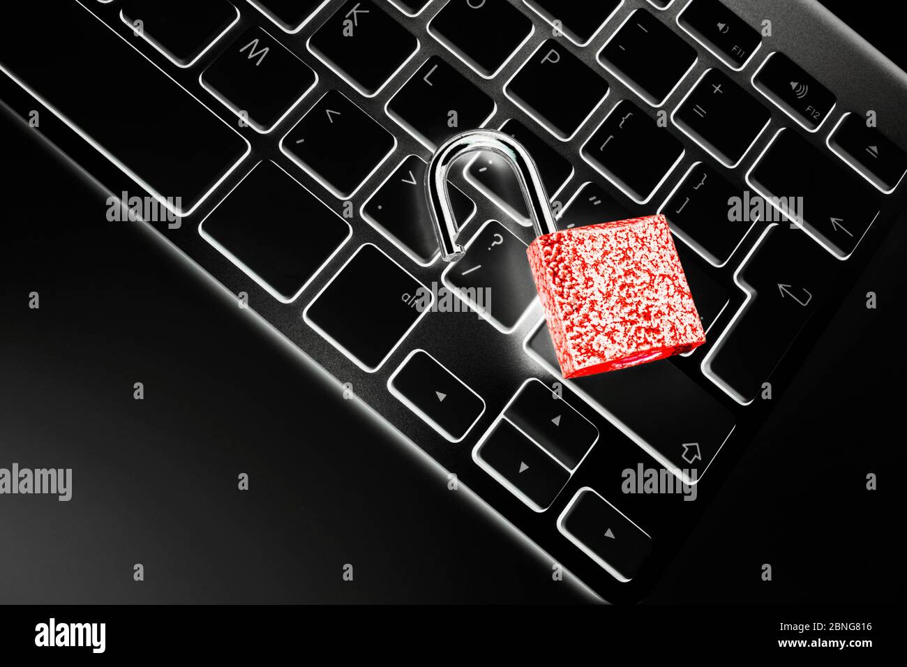 Calcolatore bloccato al sicuro da virus o di un attacco di software dannoso. Computer laptop protetti da online cyber crimine e l'hacking. Computer Security concetto con Foto Stock
