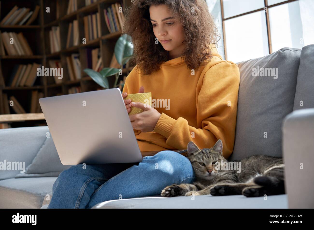 Giovane ragazza ispanica che si rilassa sul divano con serie di osservazione gatto sul computer portatile a casa. Foto Stock