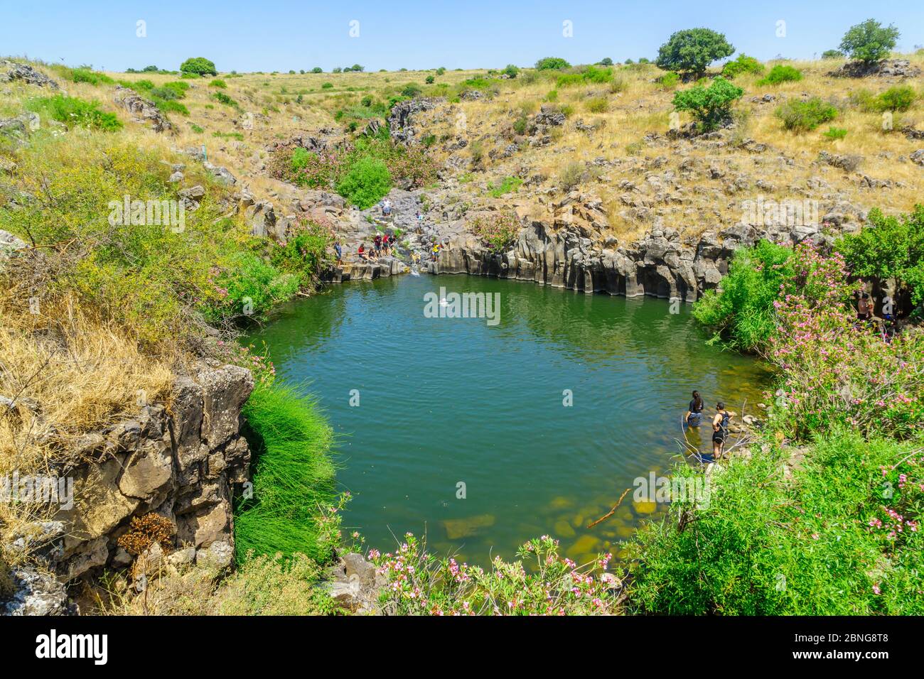 Qatsrin, Israele - 12 maggio 2020: Vista della piscina Zavitan con colonne esagonali, con i visitatori che fanno il bagno, nella Riserva Naturale della Foresta di Yehudiya, l'altezza del Golan Foto Stock