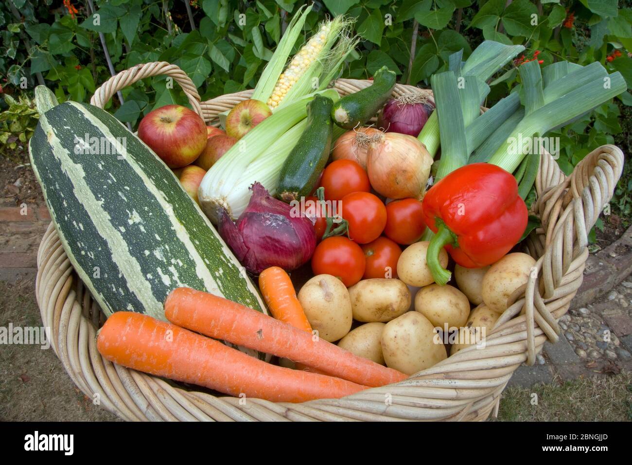 Le verdure coltivate in casa da un orto nel mese di agosto Foto Stock