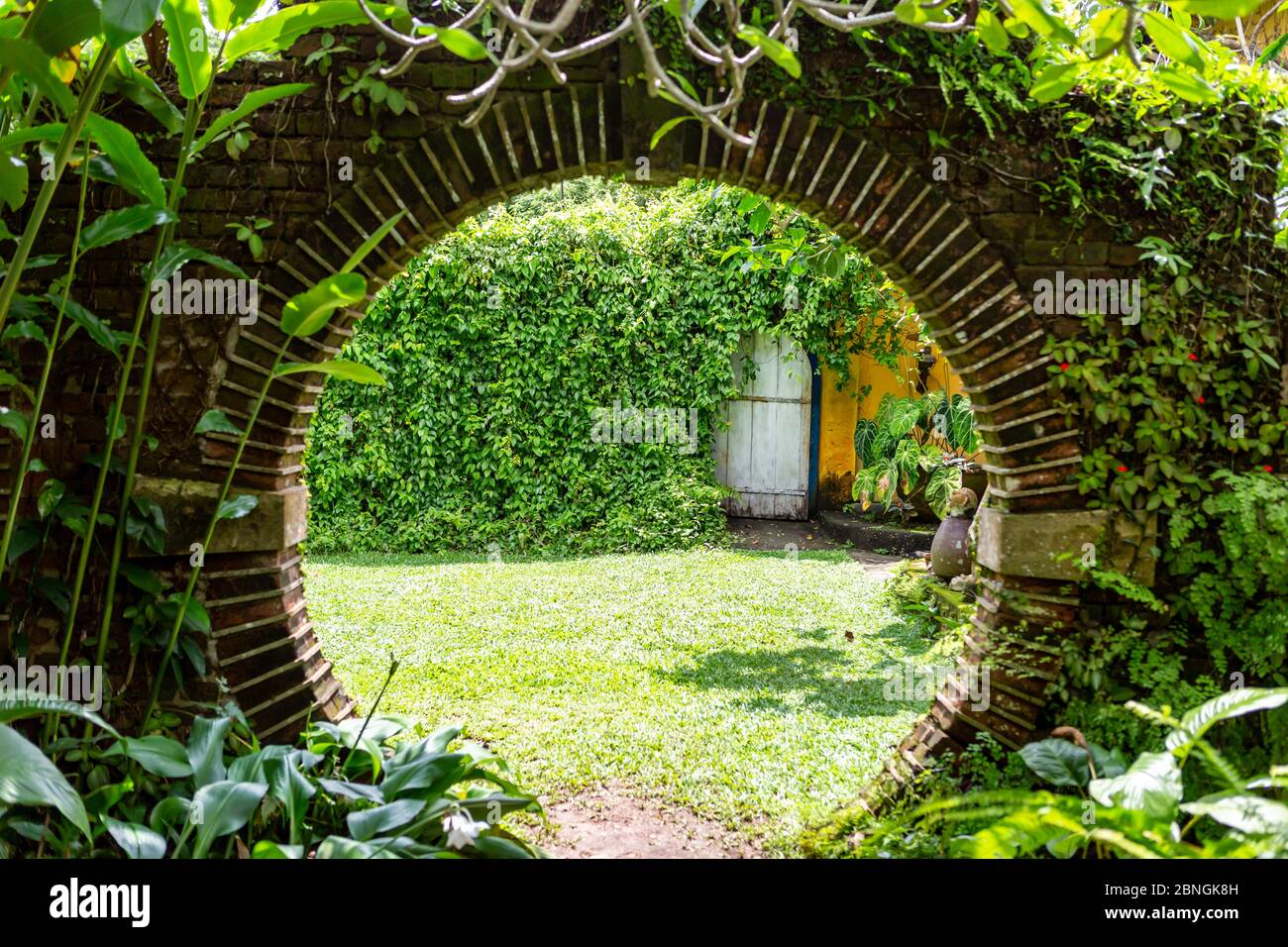 Weg zum Briefgarden in Bentota auf Sri Lanka Foto Stock