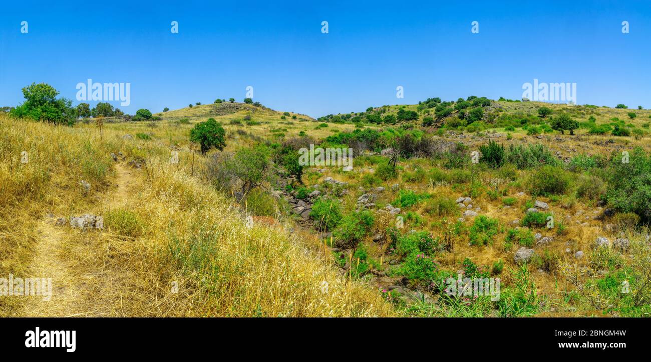 Vista panoramica del paesaggio lungo il torrente Zavitan, nella Riserva Naturale della Foresta di Yehudiya, le alture del Golan, Israele settentrionale Foto Stock