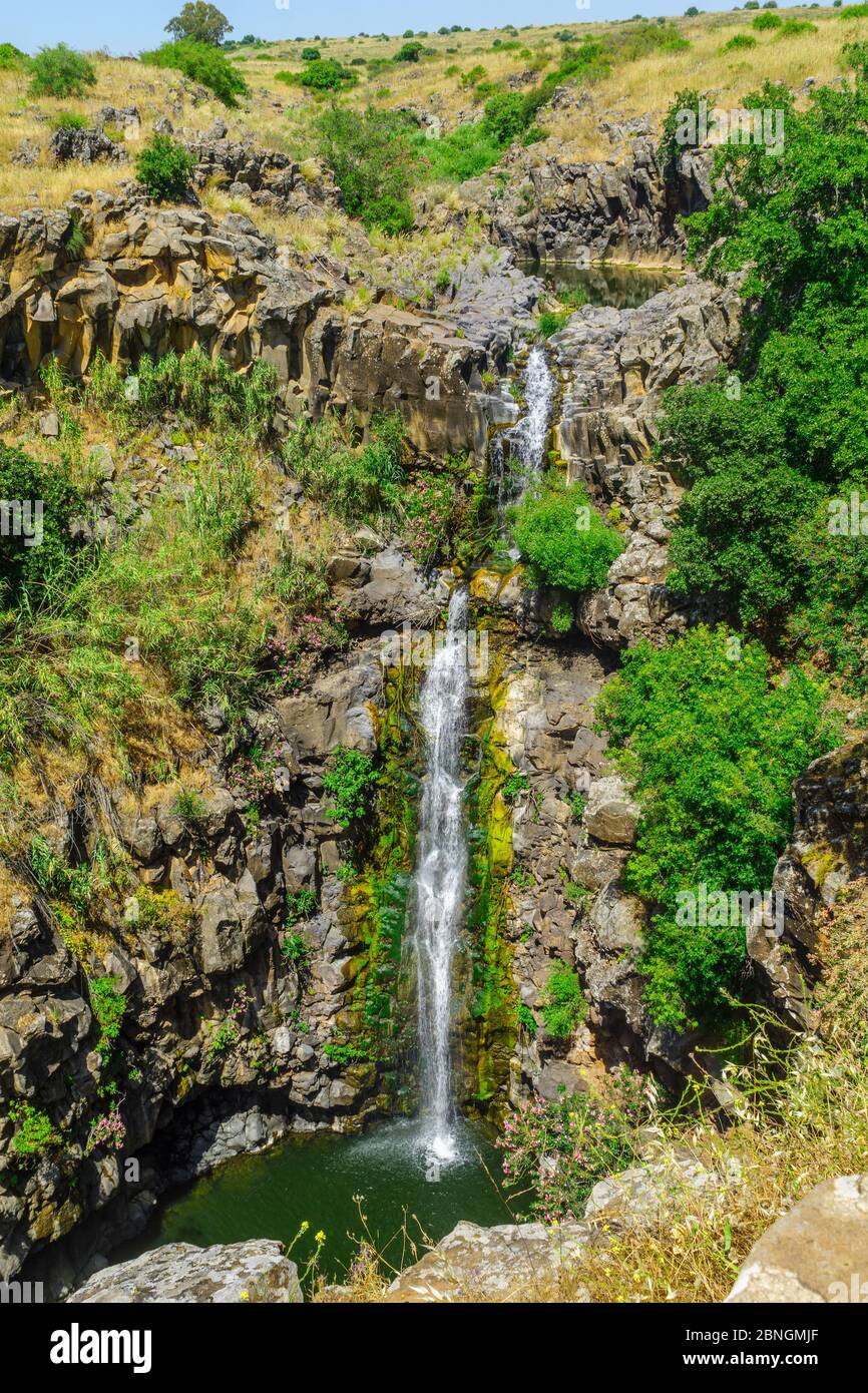 Vista della cascata Zaventan, nella Riserva Naturale della Foresta di Yehudiya, le alture del Golan, Israele del Nord Foto Stock