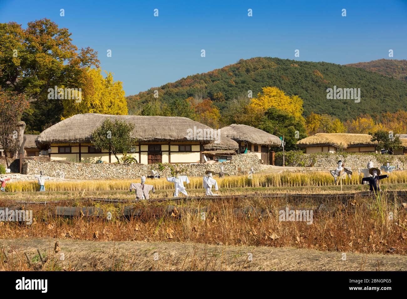 Tradizionale casa coreana con tetto in paglia. Tradizionale villaggio agricolo nel villaggio folk di Asan Oeam, Corea del Sud. Foto Stock